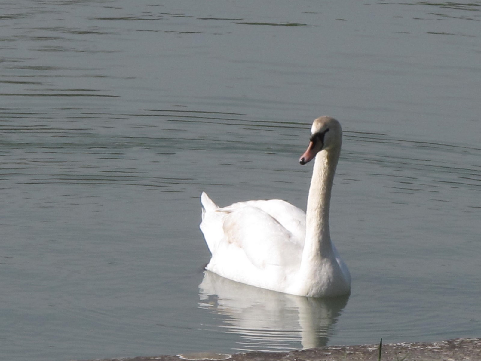 VERSAILLES AVRIL 2015